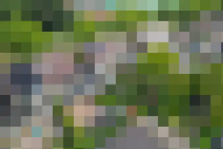Koningsspil 4 Sneek thumbnail 51