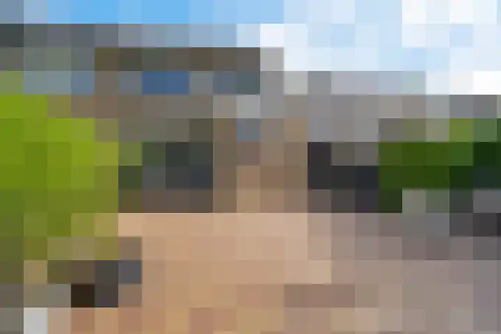 Koningsspil 4 Sneek thumbnail 6