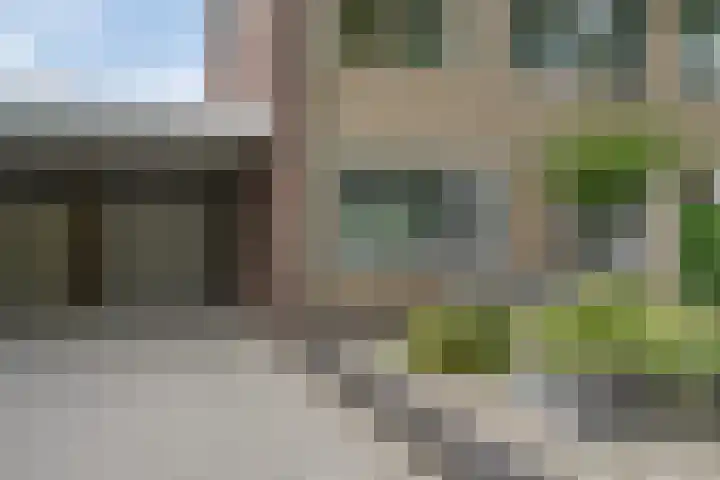 Koningsspil 4 Sneek thumbnail 7