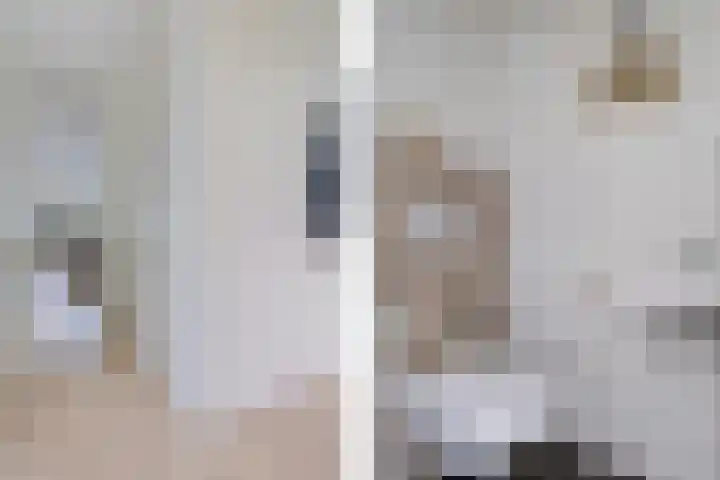 Koningsspil 4 Sneek thumbnail 8