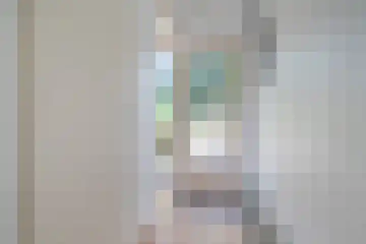 Koningsspil 4 Sneek thumbnail 9