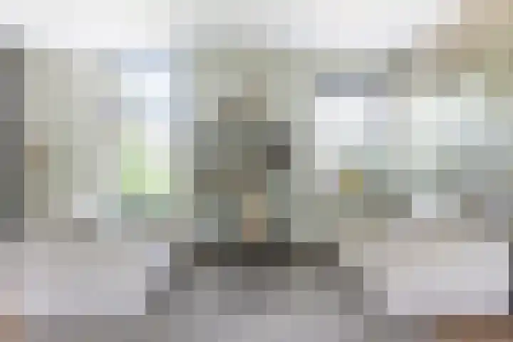 Koningsspil 41 Hardenberg thumbnail 22