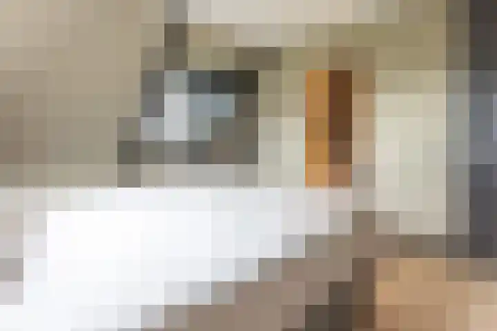 Koningsspil 41 Hardenberg thumbnail 31