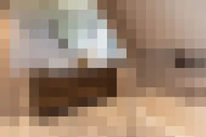 Koningsspil 41 Hardenberg thumbnail 36