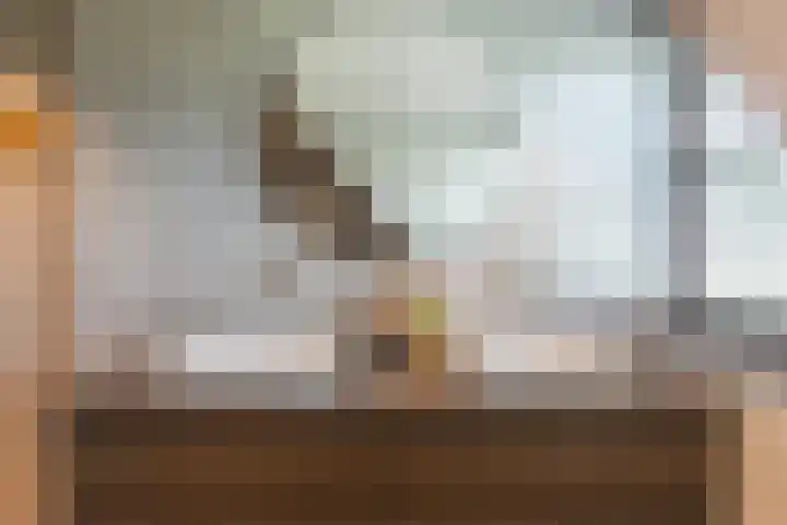 Koningsspil 41 Hardenberg thumbnail 40