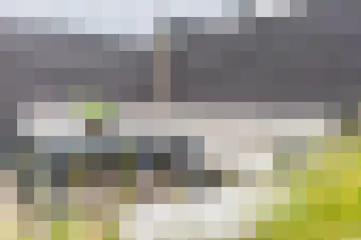 Koningsspil 41 Hardenberg thumbnail 5