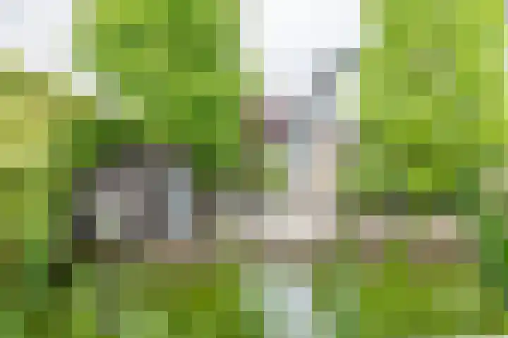 Koningsspil 41 Hardenberg thumbnail 57