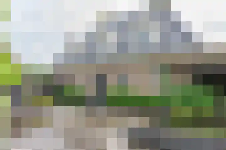 Koningsspil 41 Hardenberg thumbnail 58