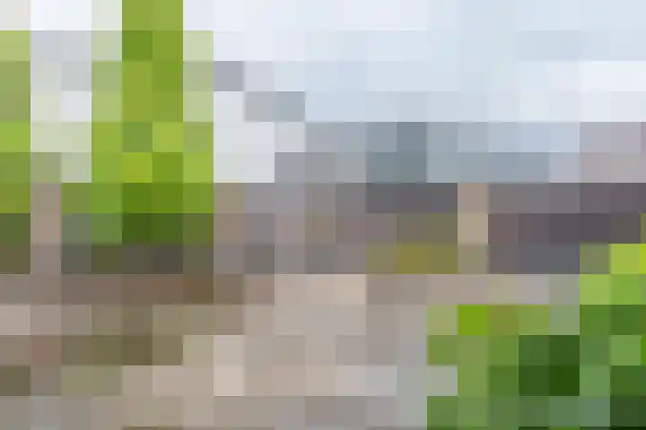 Koningsspil 41 Hardenberg thumbnail 59