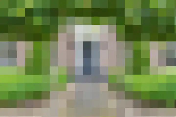 Koningsspil 41 Hardenberg thumbnail 6