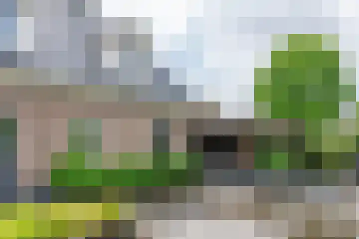 Koningsspil 41 Hardenberg thumbnail 61