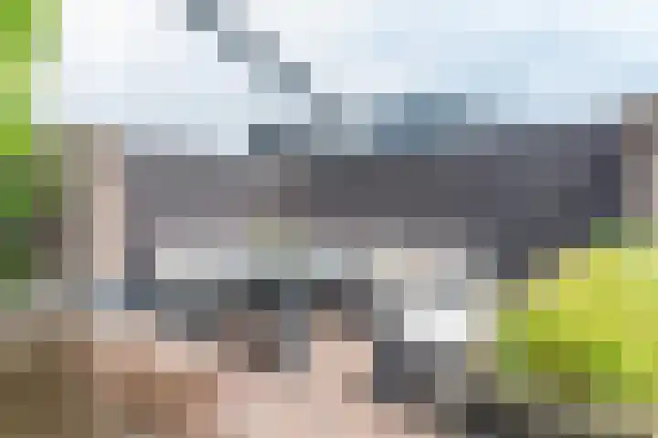 Koningsspil 41 Hardenberg thumbnail 63