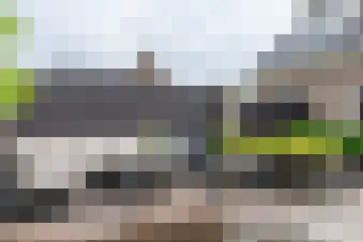 Koningsspil 41 Hardenberg thumbnail 64
