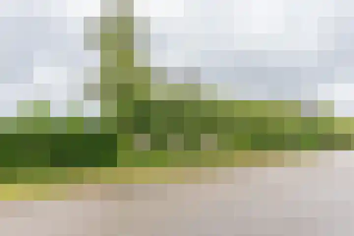 Koningsspil 41 Hardenberg thumbnail 66