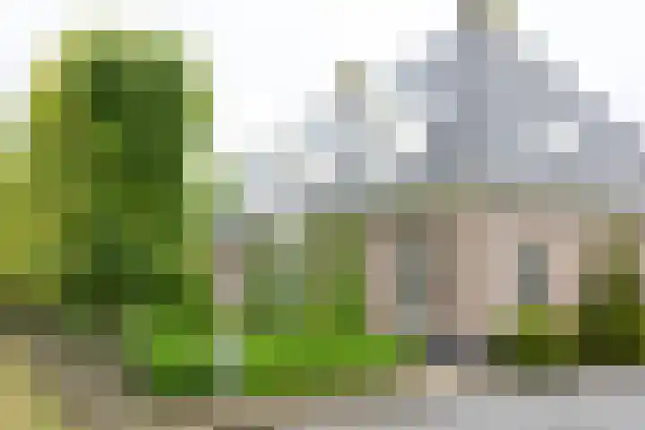 Koningsspil 41 Hardenberg thumbnail 69