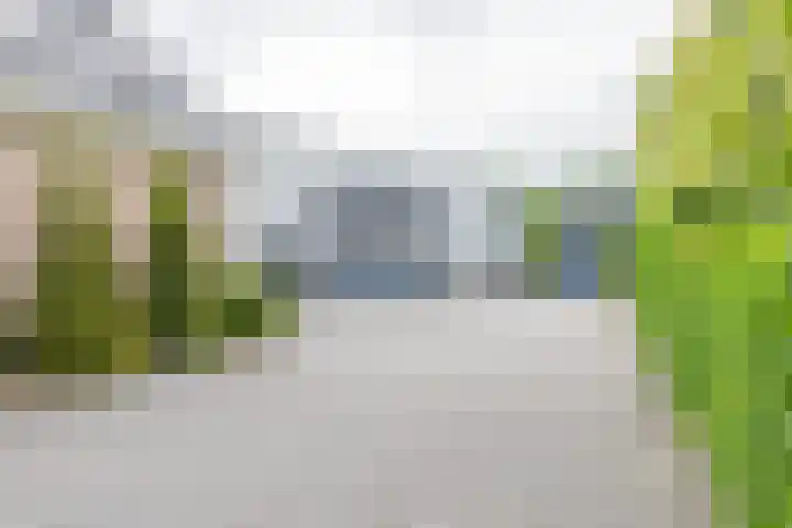 Koningsspil 41 Hardenberg thumbnail 70