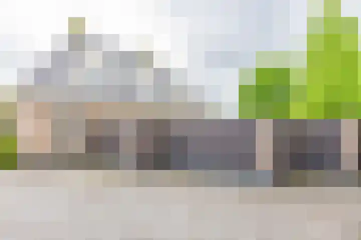 Koningsspil 41 Hardenberg thumbnail 71
