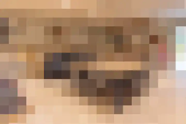 Koningsspil 41 Hardenberg thumbnail 86