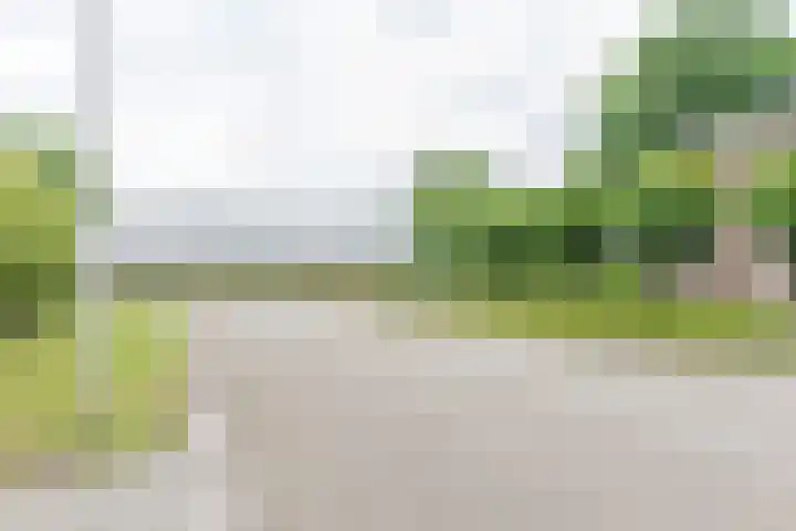 Koningsspil 41 Hardenberg thumbnail 92
