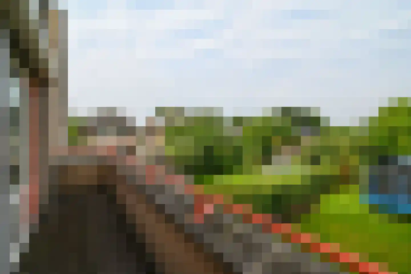 Koningsspil 41 Mijdrecht thumbnail 22