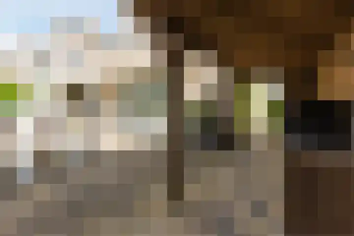 Koningsspil 43 Mijdrecht thumbnail 62
