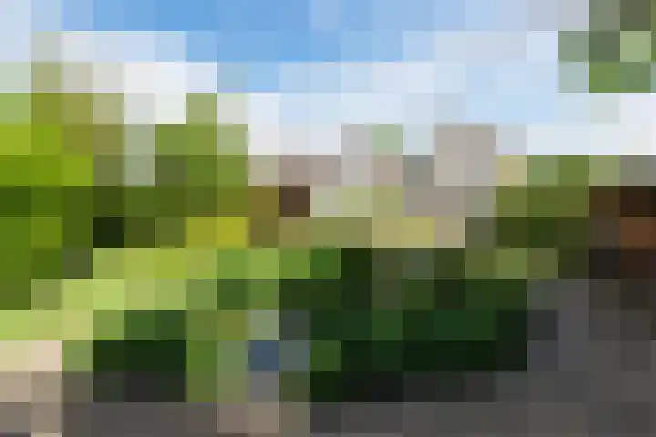 Koningsspil 43 Mijdrecht thumbnail 74