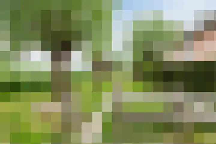 Koningsspil 43 Mijdrecht thumbnail 83