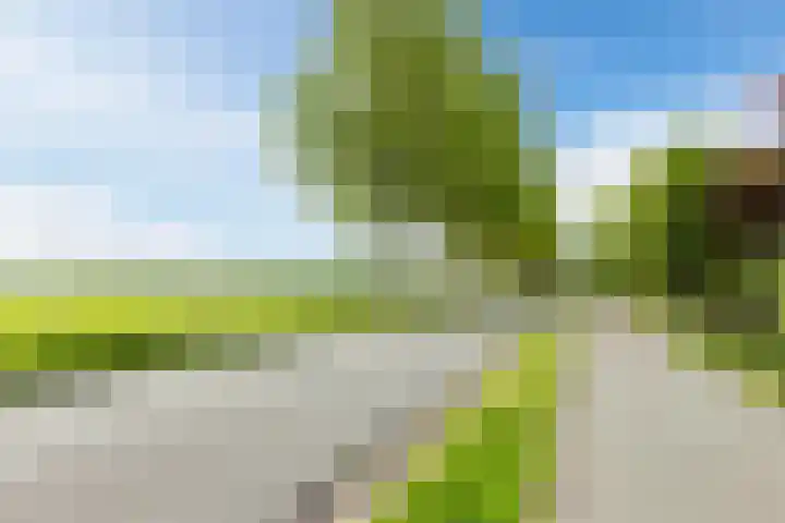 Koningsspil 43 Mijdrecht thumbnail 88