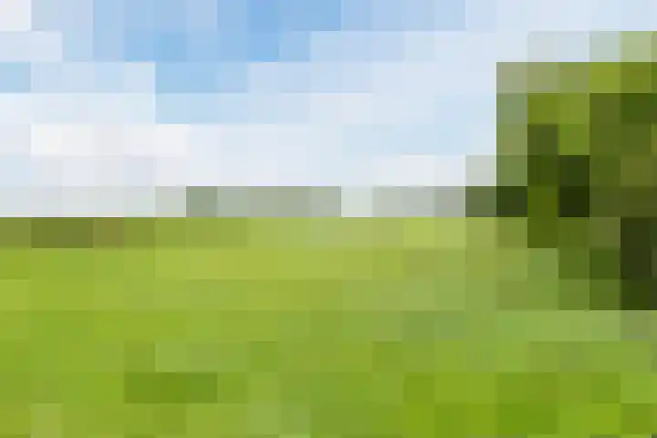 Koningsspil 43 Mijdrecht thumbnail 89