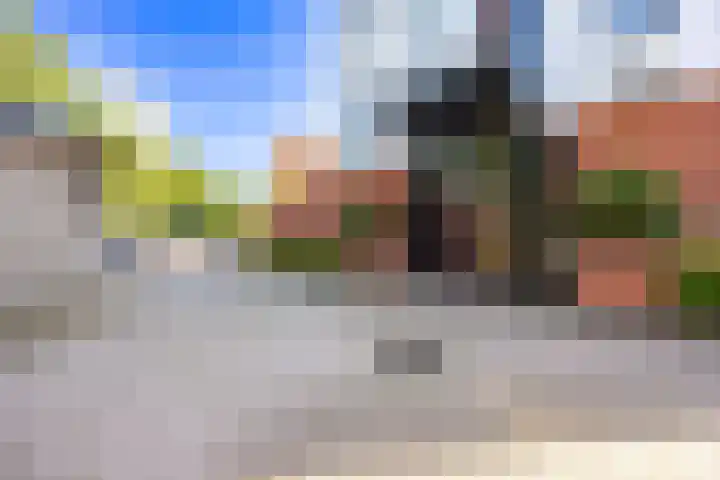Koningsspil 45 Leidschendam thumbnail 33