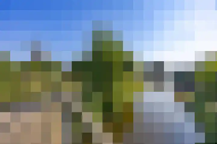 Koningsspil 45 Leidschendam thumbnail 42