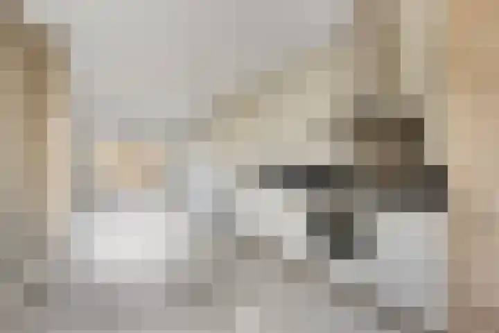 Koningsspil 46 Moerkapelle thumbnail 12