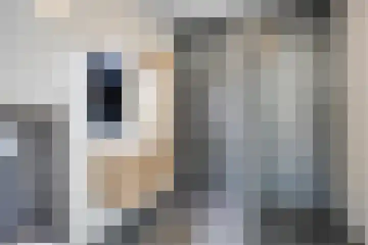 Koningsspil 46 Moerkapelle thumbnail 17
