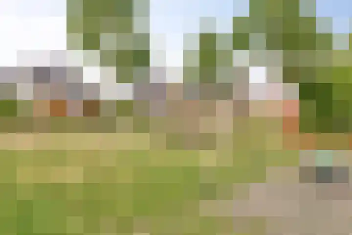 Koningsspil 46 Moerkapelle thumbnail 26