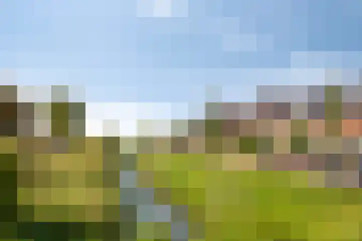 Koningsspil 46 Moerkapelle thumbnail 5