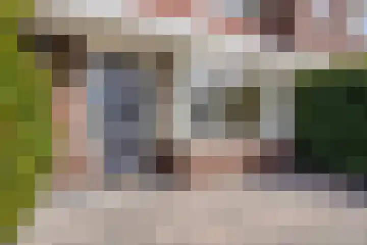 Koningsspil 46 Moerkapelle thumbnail 9