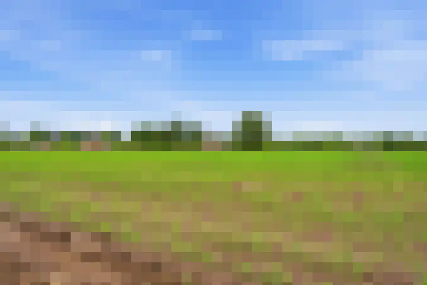 Koningsspil 46 Rijkevoort thumbnail 40