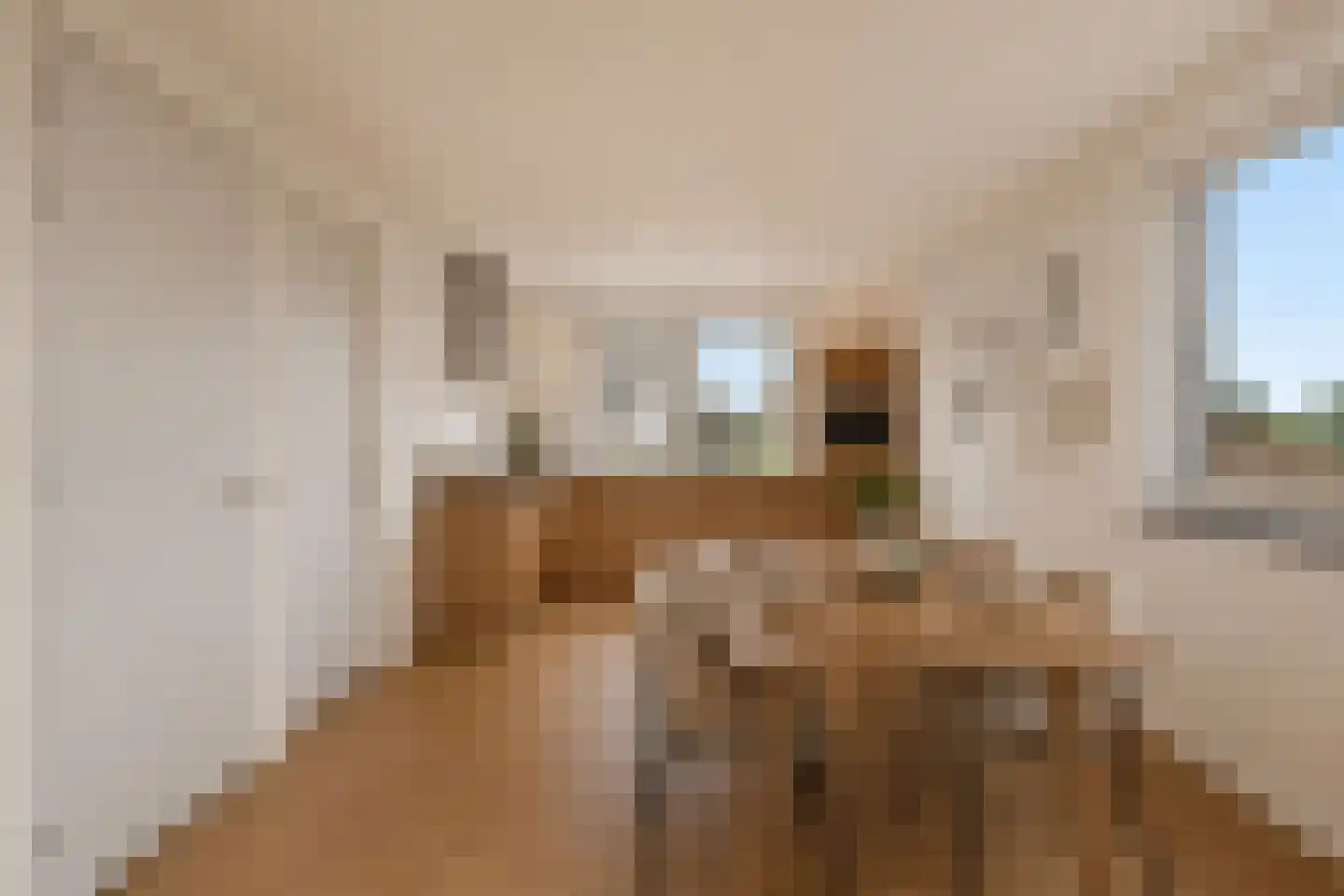 Koningsspil 46 Rijkevoort thumbnail 5