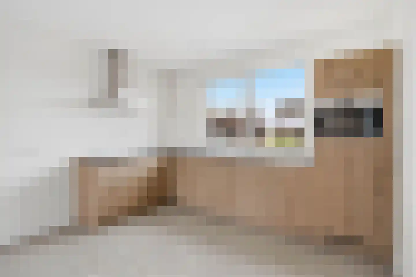 Koningsspil 46 Rijkevoort thumbnail 6