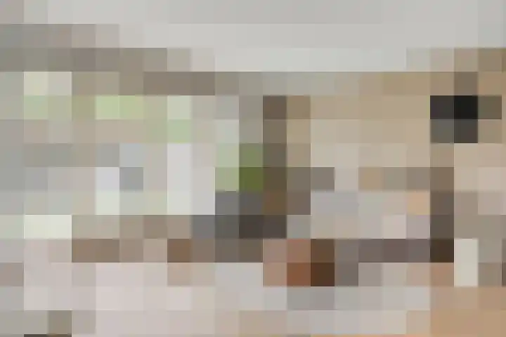 Koningsspil 5 Rijkevoort thumbnail 10