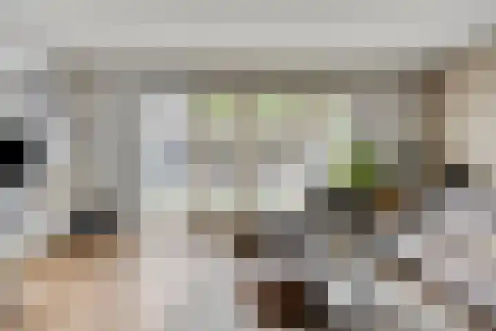 Koningsspil 5 Rijkevoort thumbnail 11