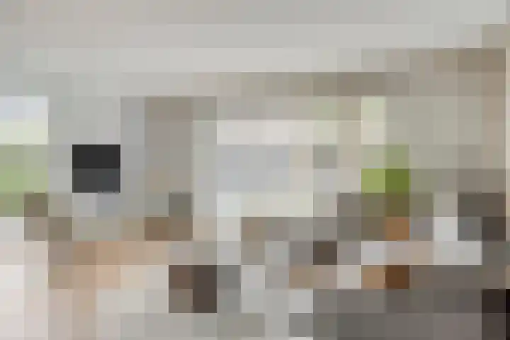 Koningsspil 5 Rijkevoort thumbnail 12