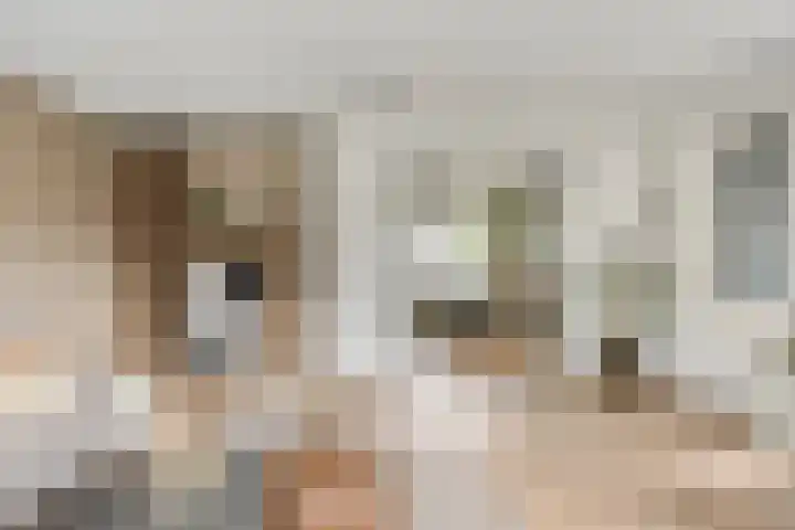 Koningsspil 5 Rijkevoort thumbnail 14