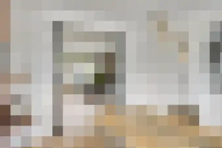 Koningsspil 5 Rijkevoort thumbnail 21