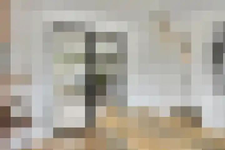 Koningsspil 5 Rijkevoort thumbnail 22