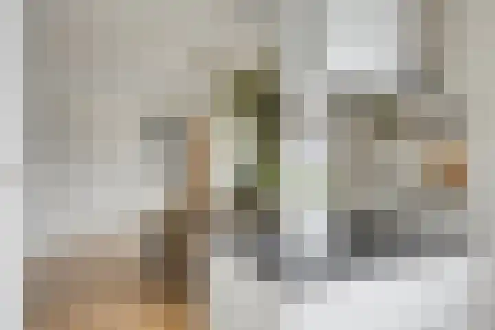 Koningsspil 5 Rijkevoort thumbnail 23