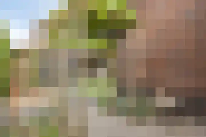 Koningsspil 5 Rijkevoort thumbnail 25