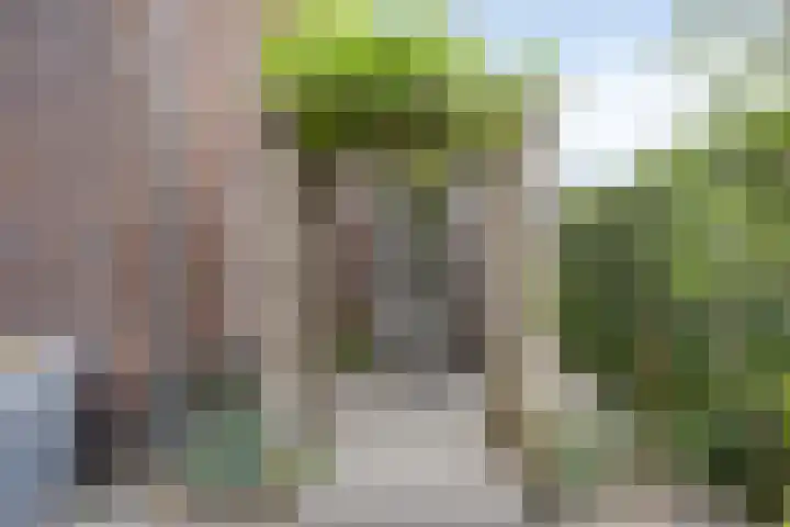 Koningsspil 5 Rijkevoort thumbnail 27