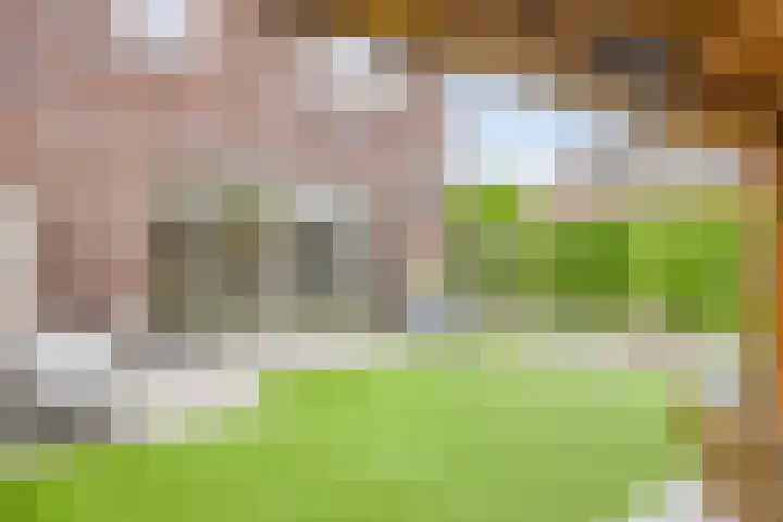 Koningsspil 5 Rijkevoort thumbnail 30