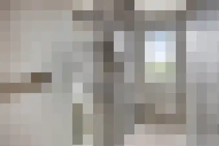 Koningsspil 5 Rijkevoort thumbnail 36